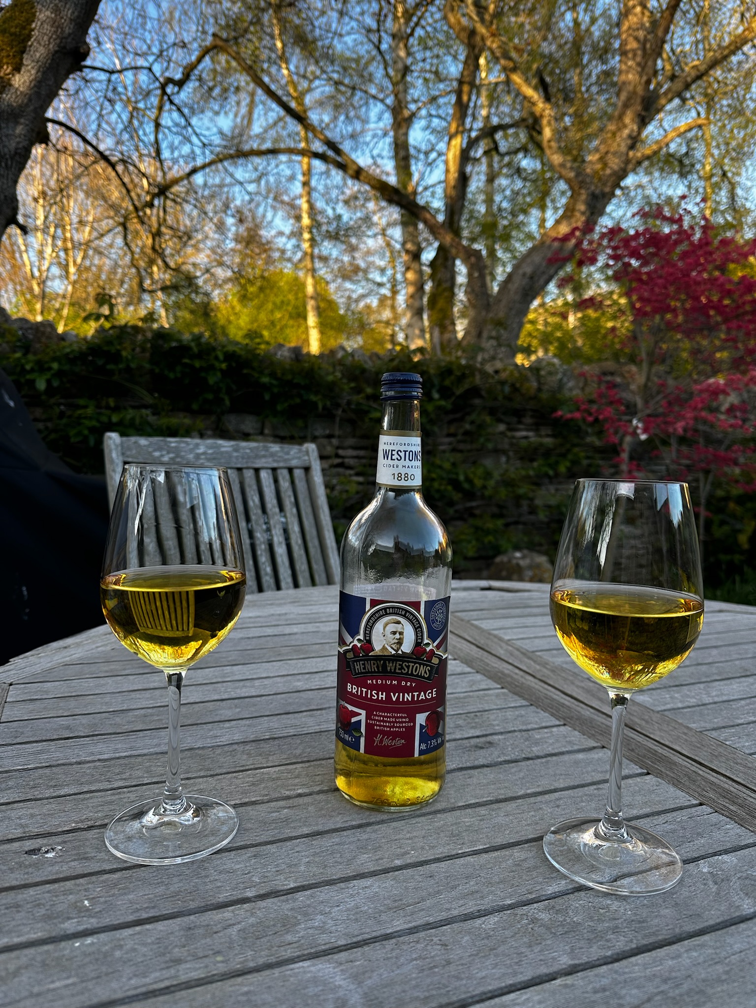 Cider Drinks