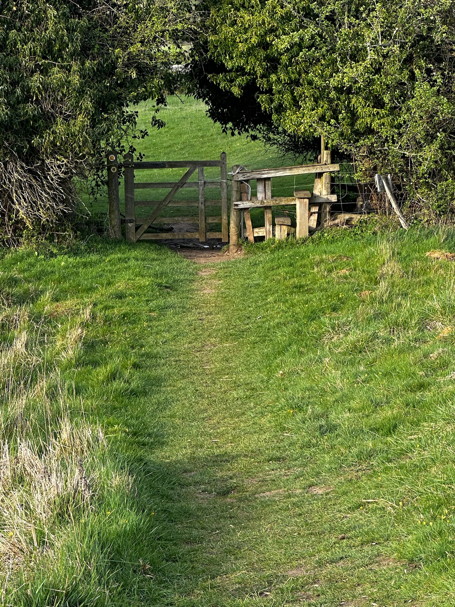 Gate
