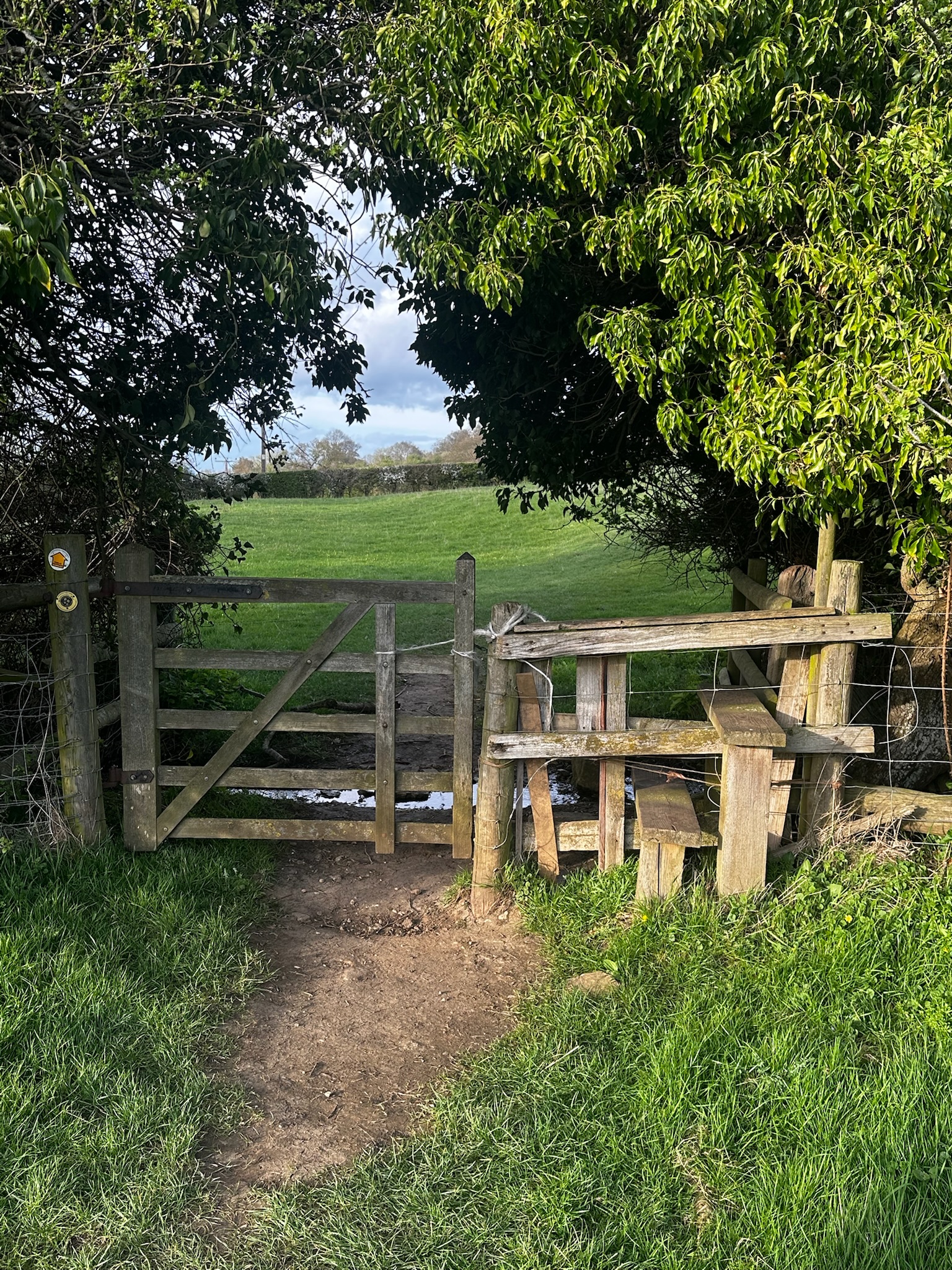 Gate