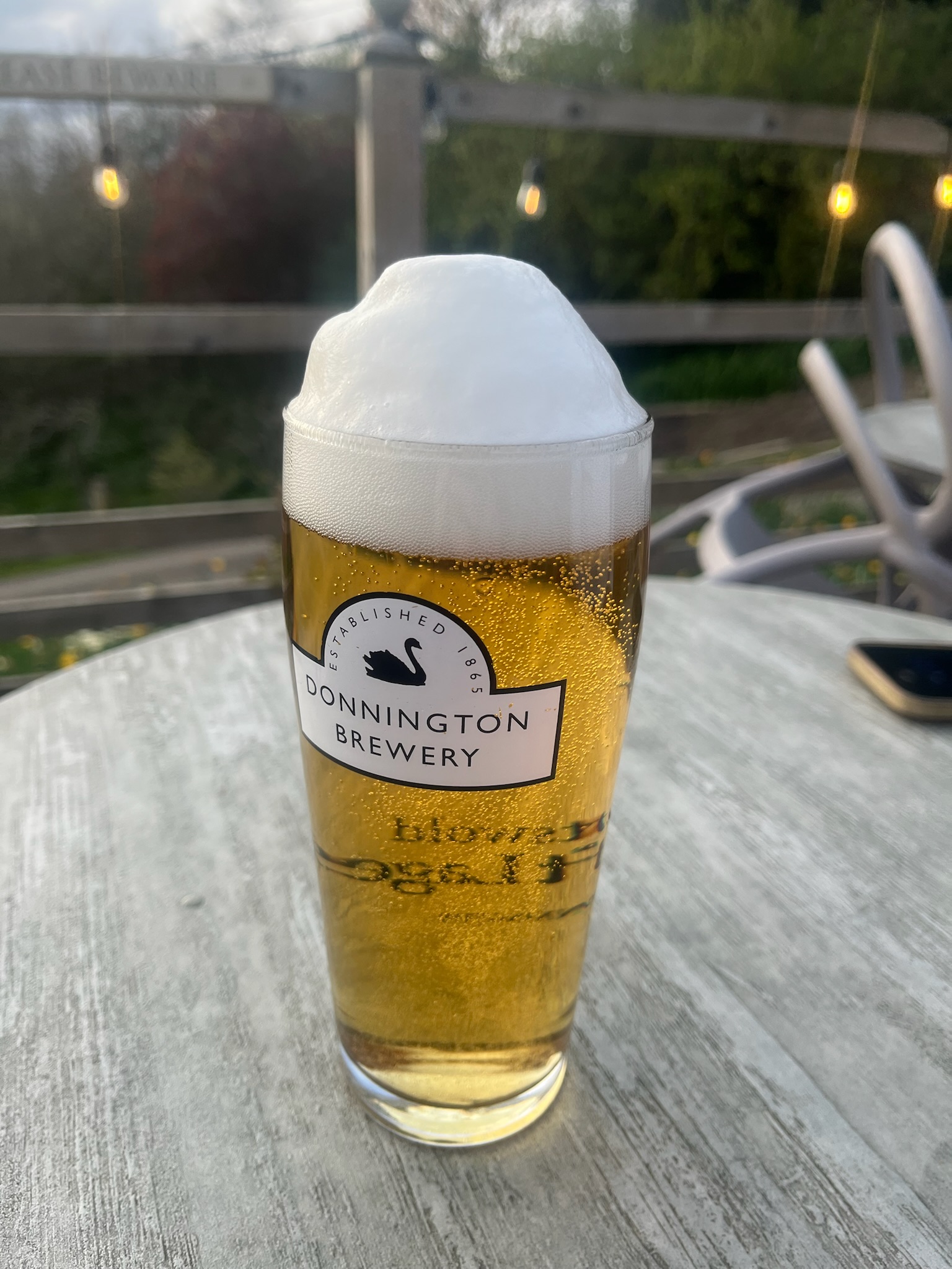 Pint of Lager